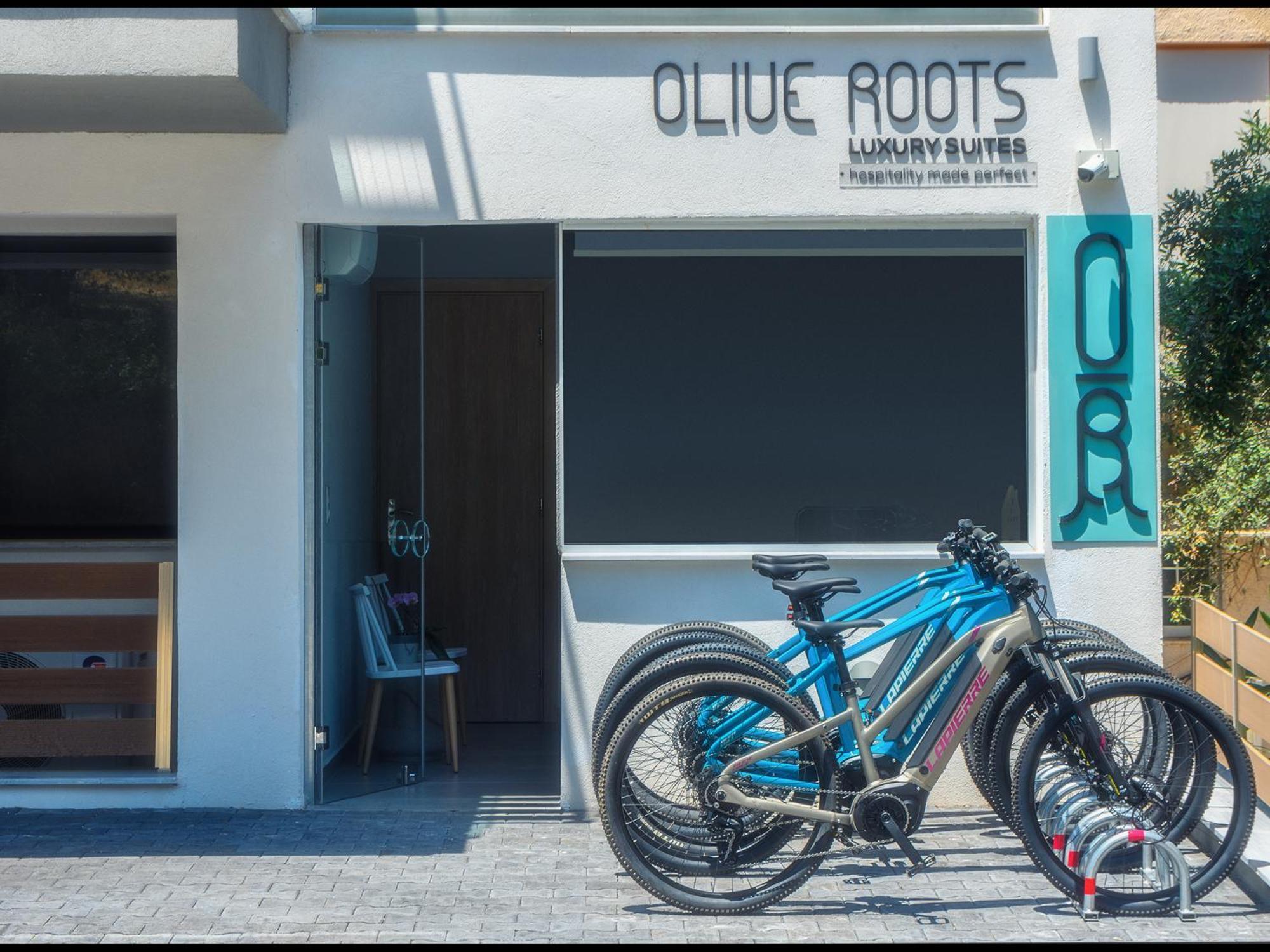 Olive Roots Hotel Skala Rachoni  ภายนอก รูปภาพ