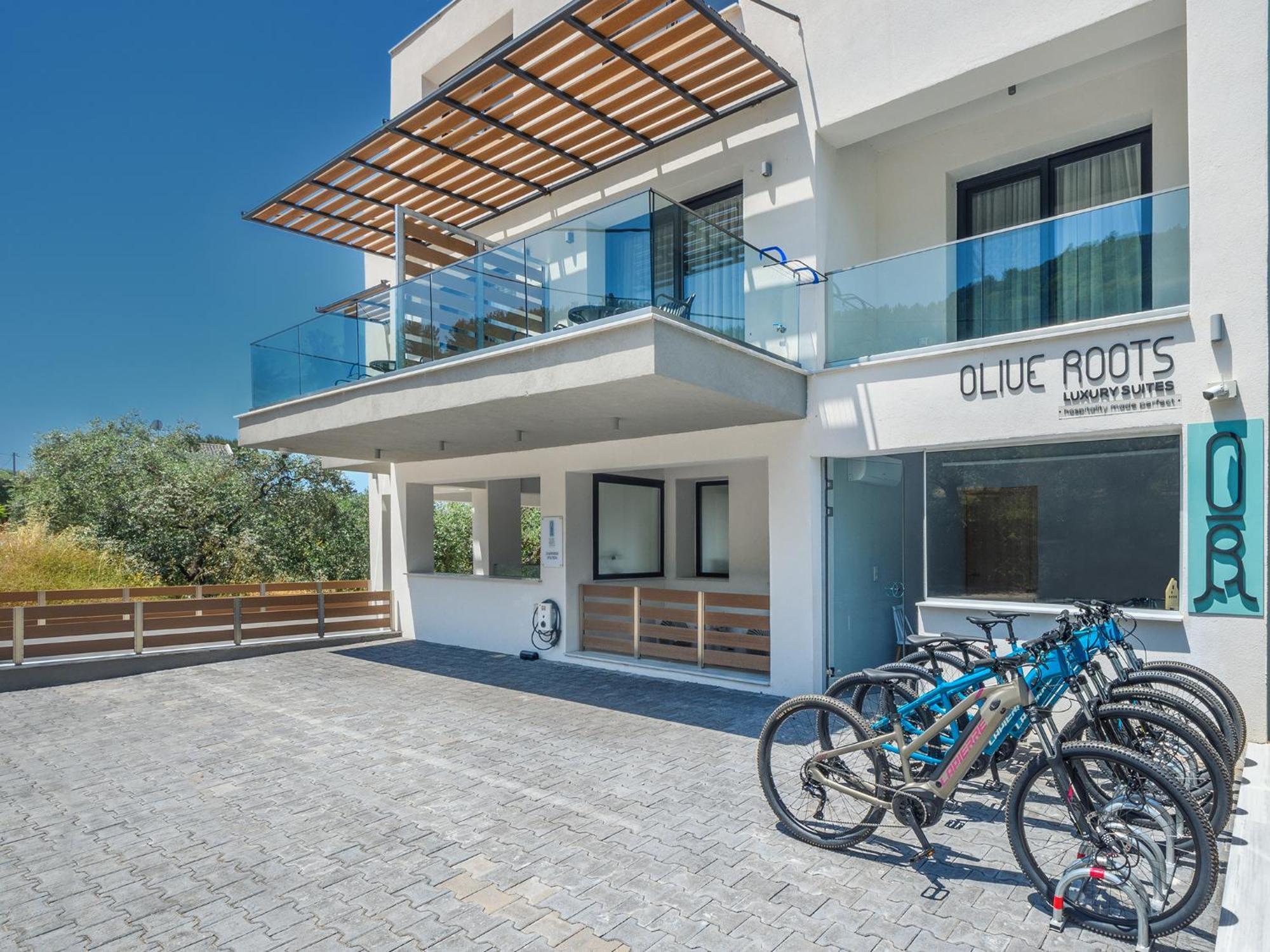 Olive Roots Hotel Skala Rachoni  ภายนอก รูปภาพ
